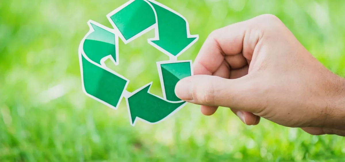 Imagem do serviço: Sustentabilidade e Design: O Compromisso da Big Lu com o Meio Ambiente